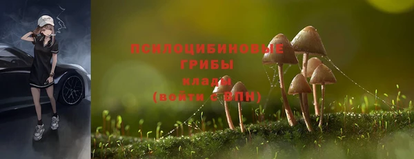 MESCALINE Вяземский